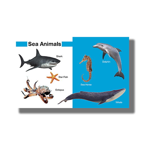 My First Book of Animals : Board book (Om Kidz) - Ajay Online Stall